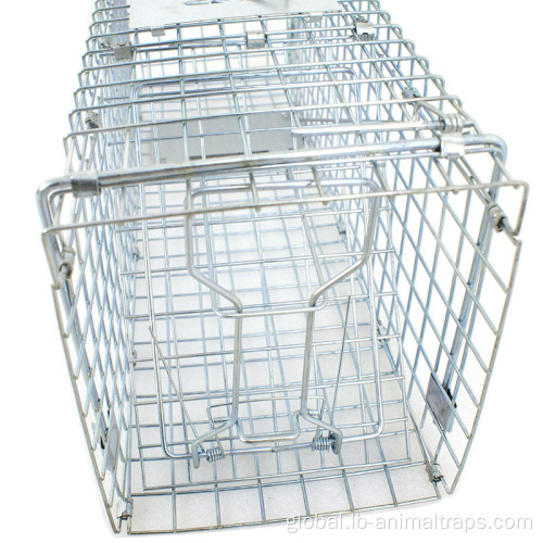 China Animal Large Cage Catcher Cold galvanized Catch Manufactory